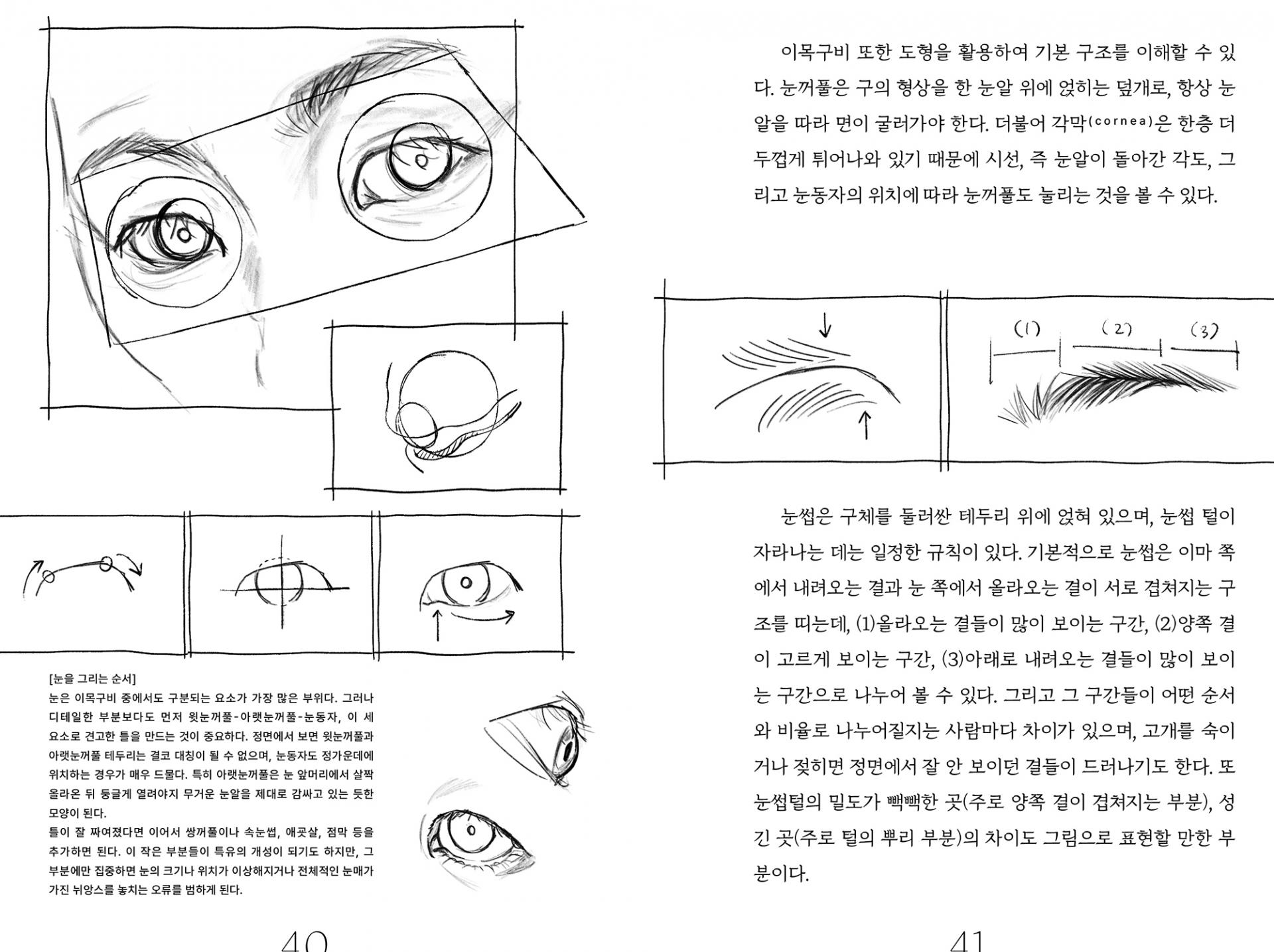 이이오의 인체 드로잉 연구록 1: 얼굴