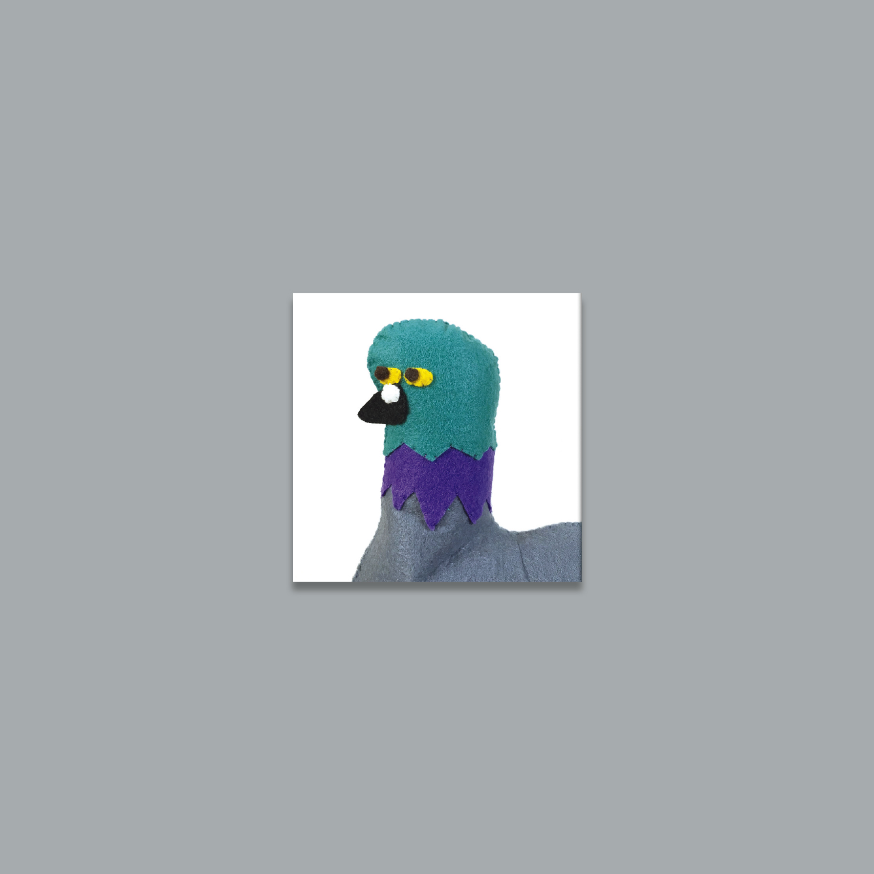 Pigeon Headshot