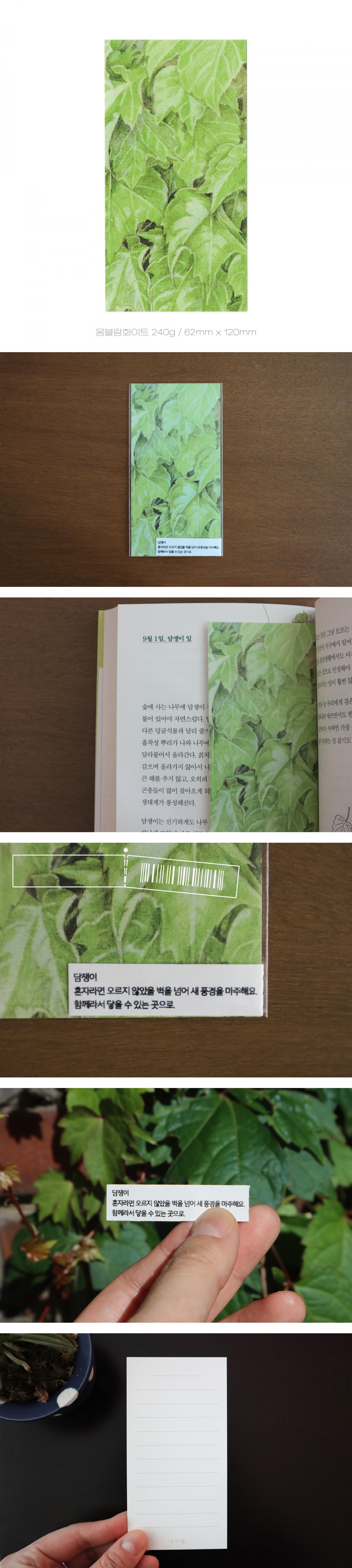 담쟁이 엽서 (오와영)