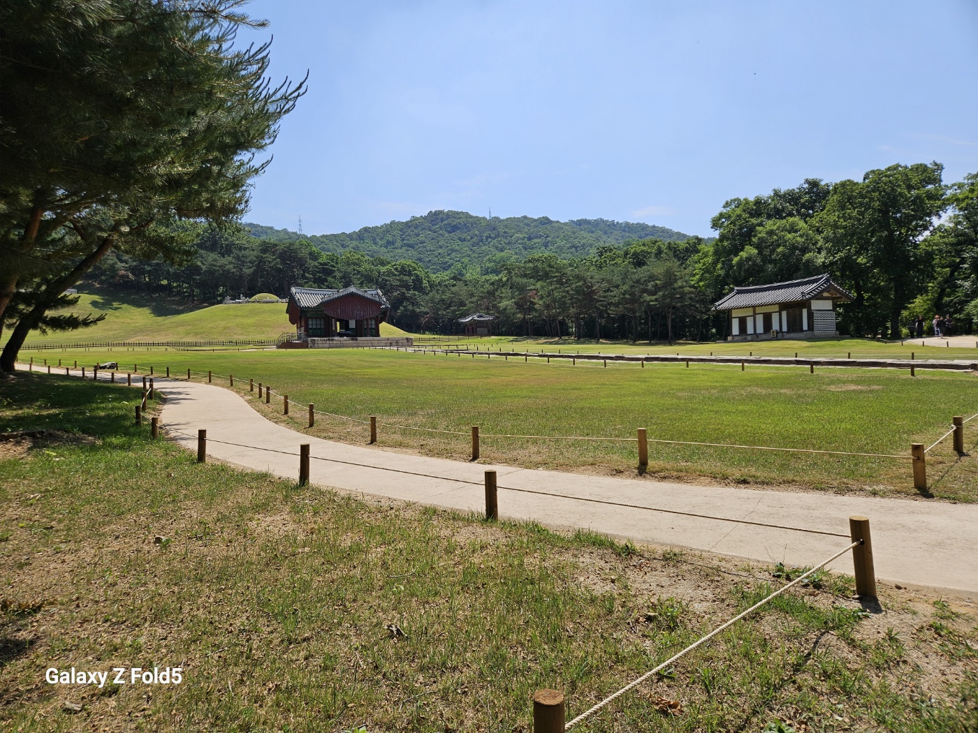 aa709df044154.jpg