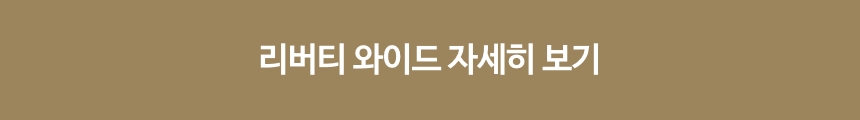 [AWOL] Aetherion Pro 패키지