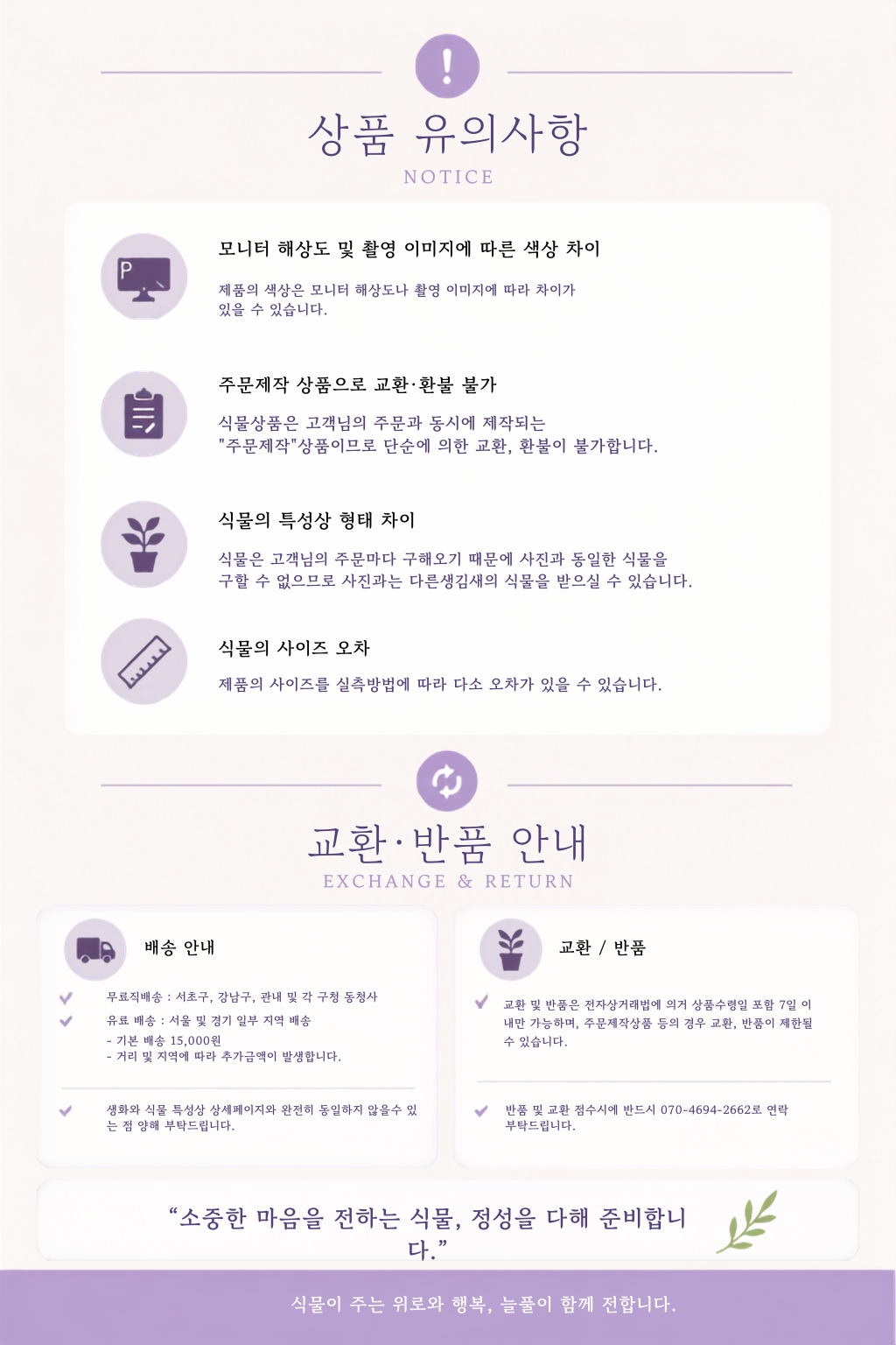 서양란 만천홍