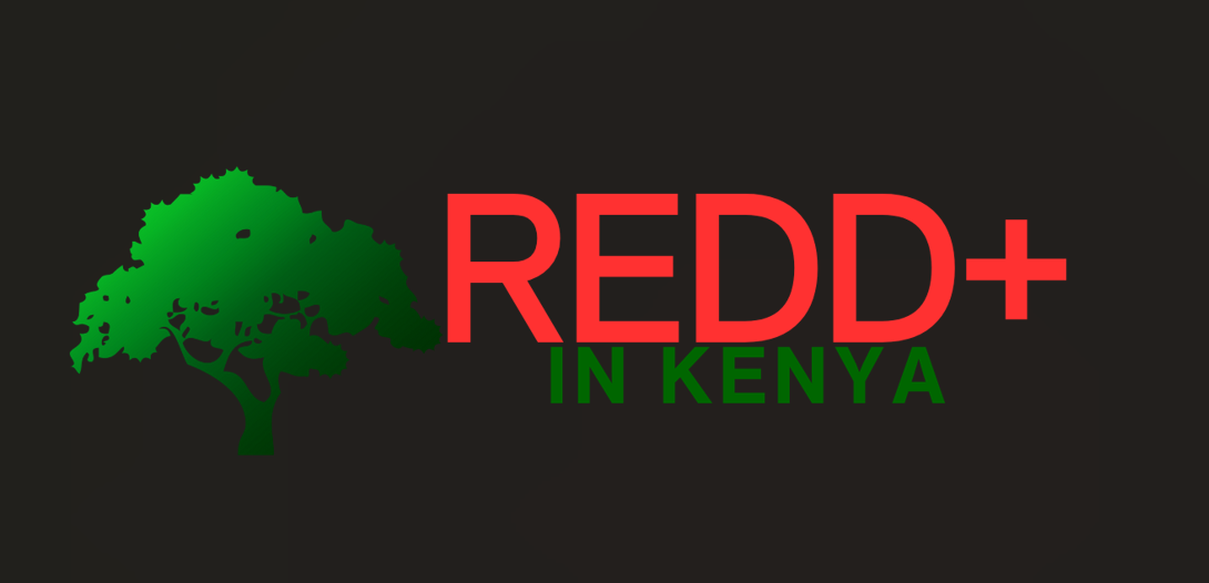 케냐 UNDP REDD+ 로고