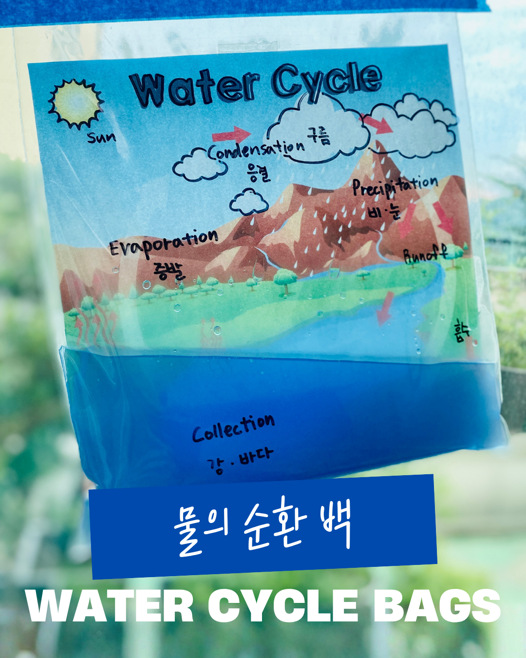 물의 순환 백