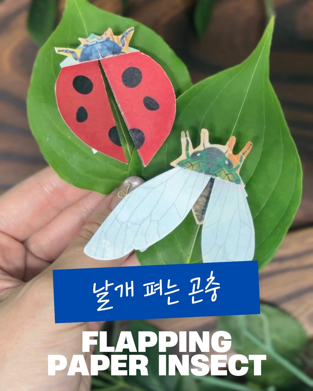 날개 펴는 곤충