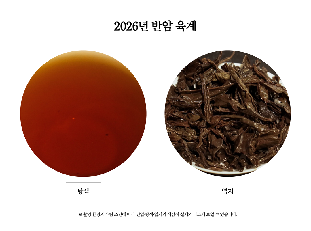 [시음차20g] 2026년 반암 육계