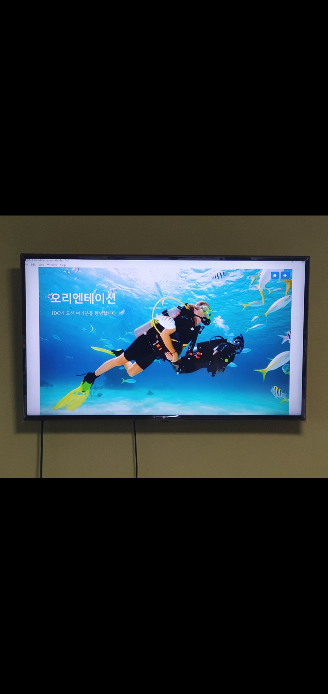 6ab431a60be52.jpg