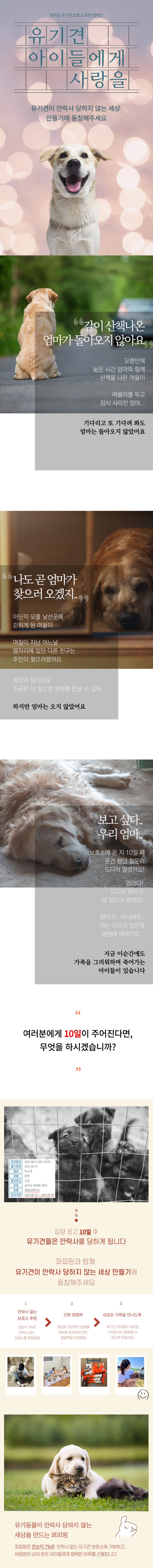 [오늘출발] 유기견 후원 데일리 써지컬 호롱불 목걸이 no.32 상세 이미지 3