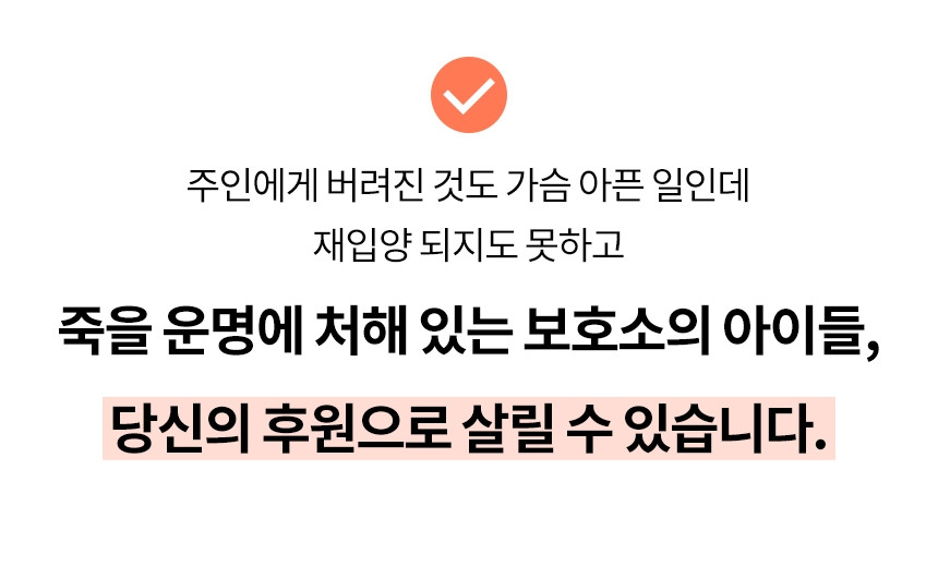 [오늘출발] 유기견 후원 데일리 써지컬 호롱불 목걸이 no.32 상세 이미지 35