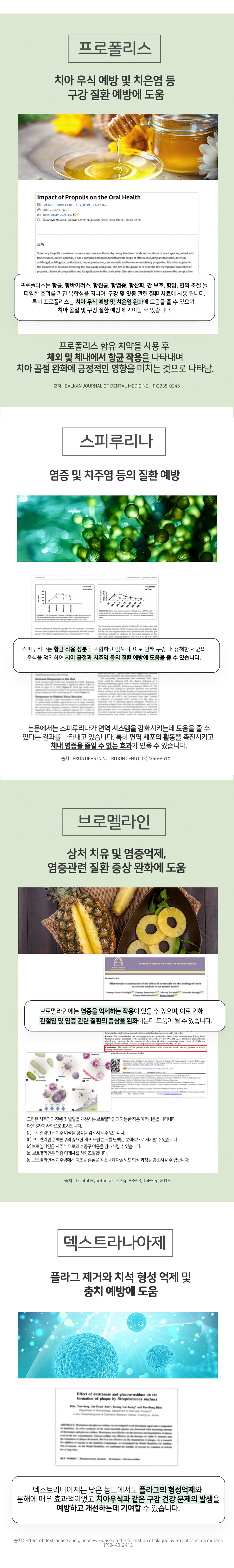 019 누터스가든 브러싱츄 단상자 100p ( 낱개 판매 가능 개발바코드O, 서비스용 추천 ) 부드러운 구강 관리 츄