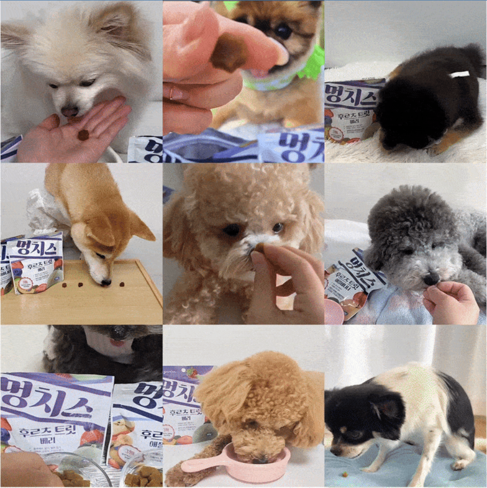 019 누터스가든 멍치스 후르츠트릿 베리 져키 80g