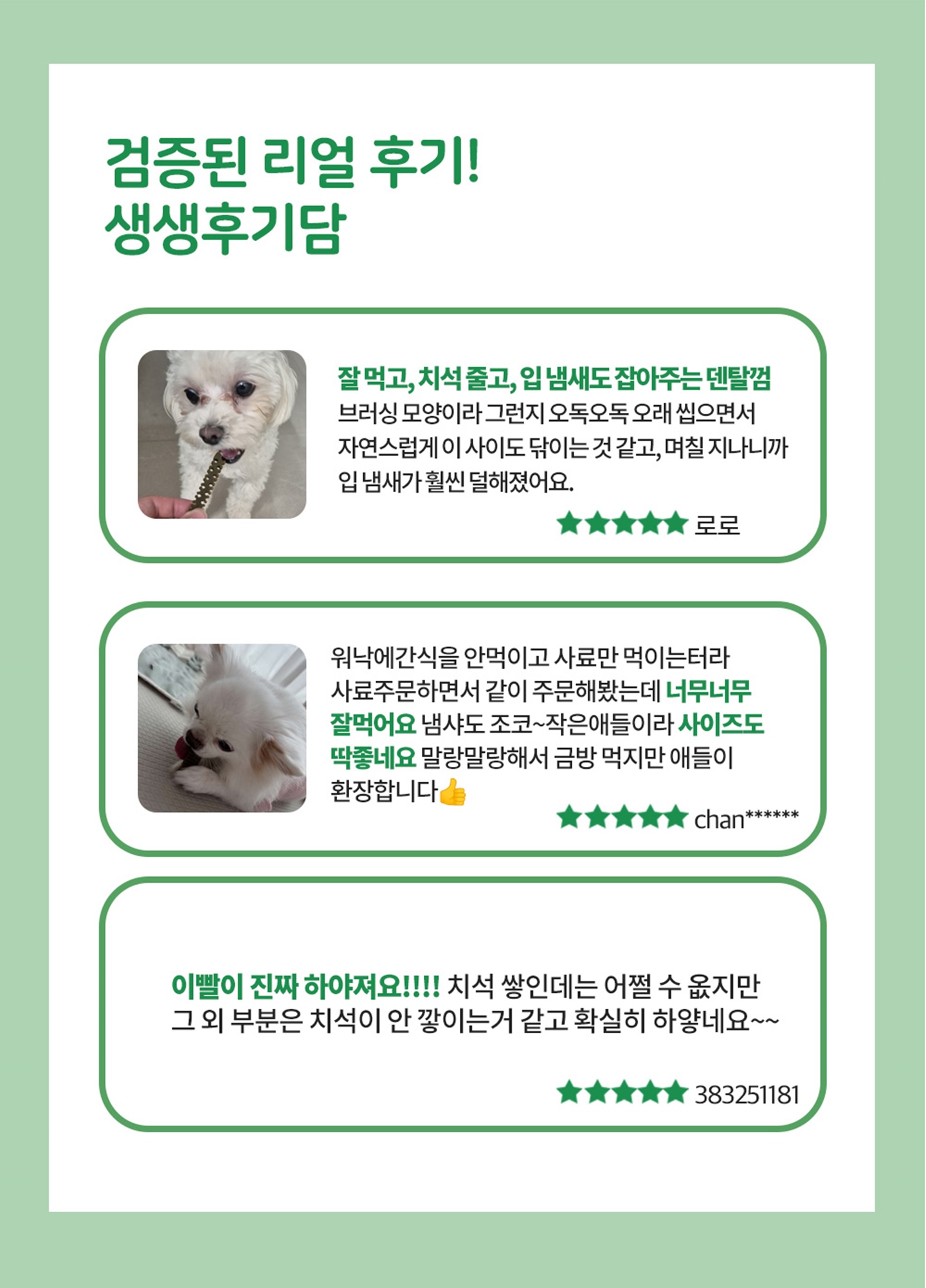 019 누터스가든 브러싱츄 단상자 100p ( 낱개 판매 가능 개발바코드O, 서비스용 추천 ) 부드러운 구강 관리 츄