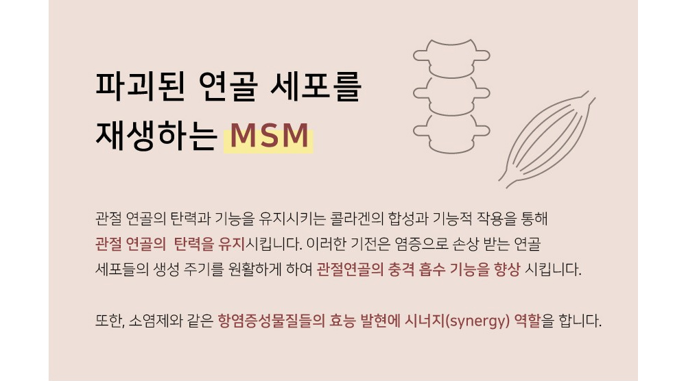 019 잠보아 조인트페인 영양간식 180g