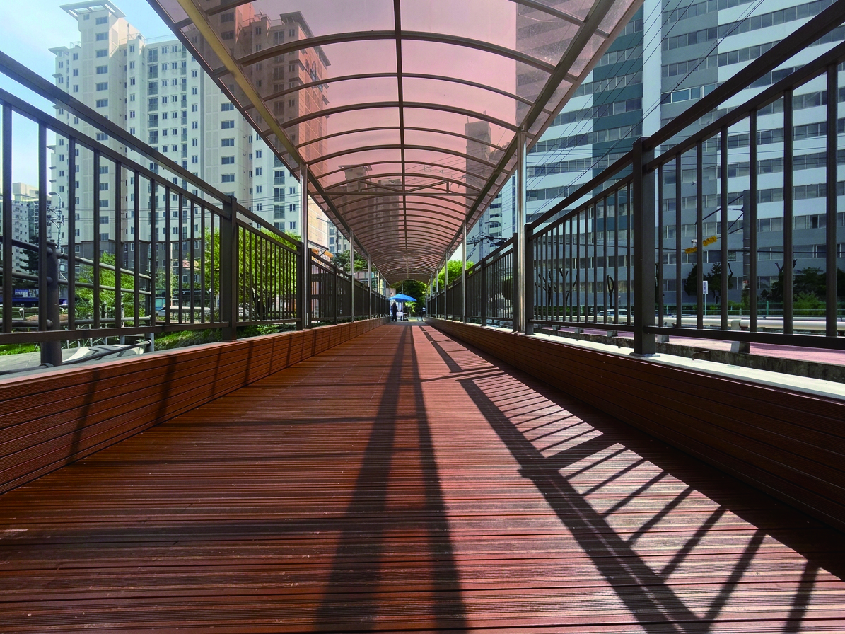 2390edcb09195.jpg