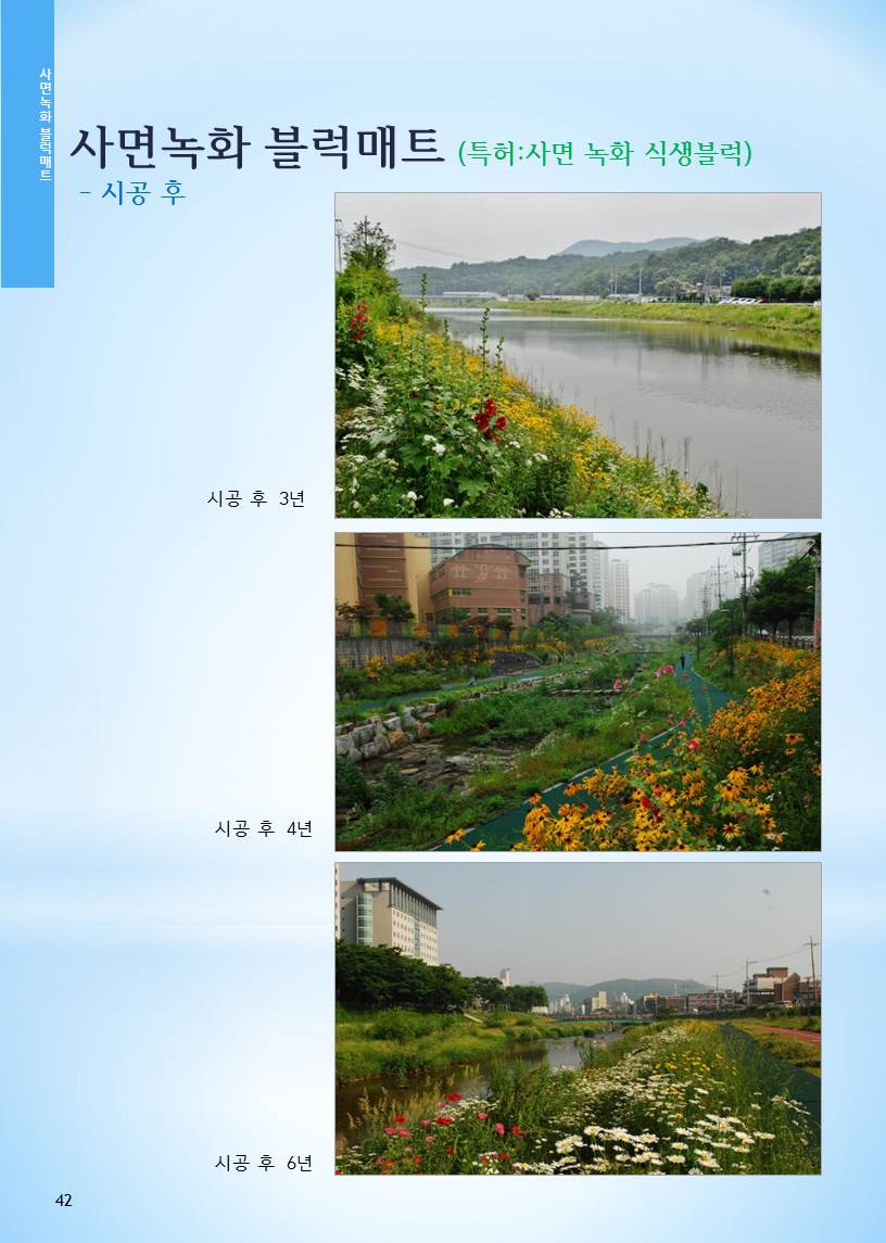 38b80c13cbc8d.jpg