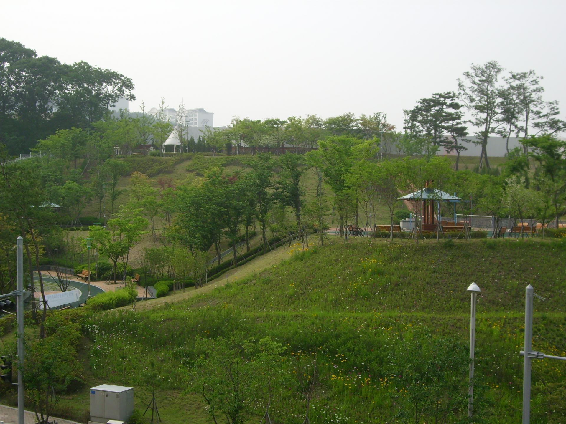 f41a3c8bb249c.jpg