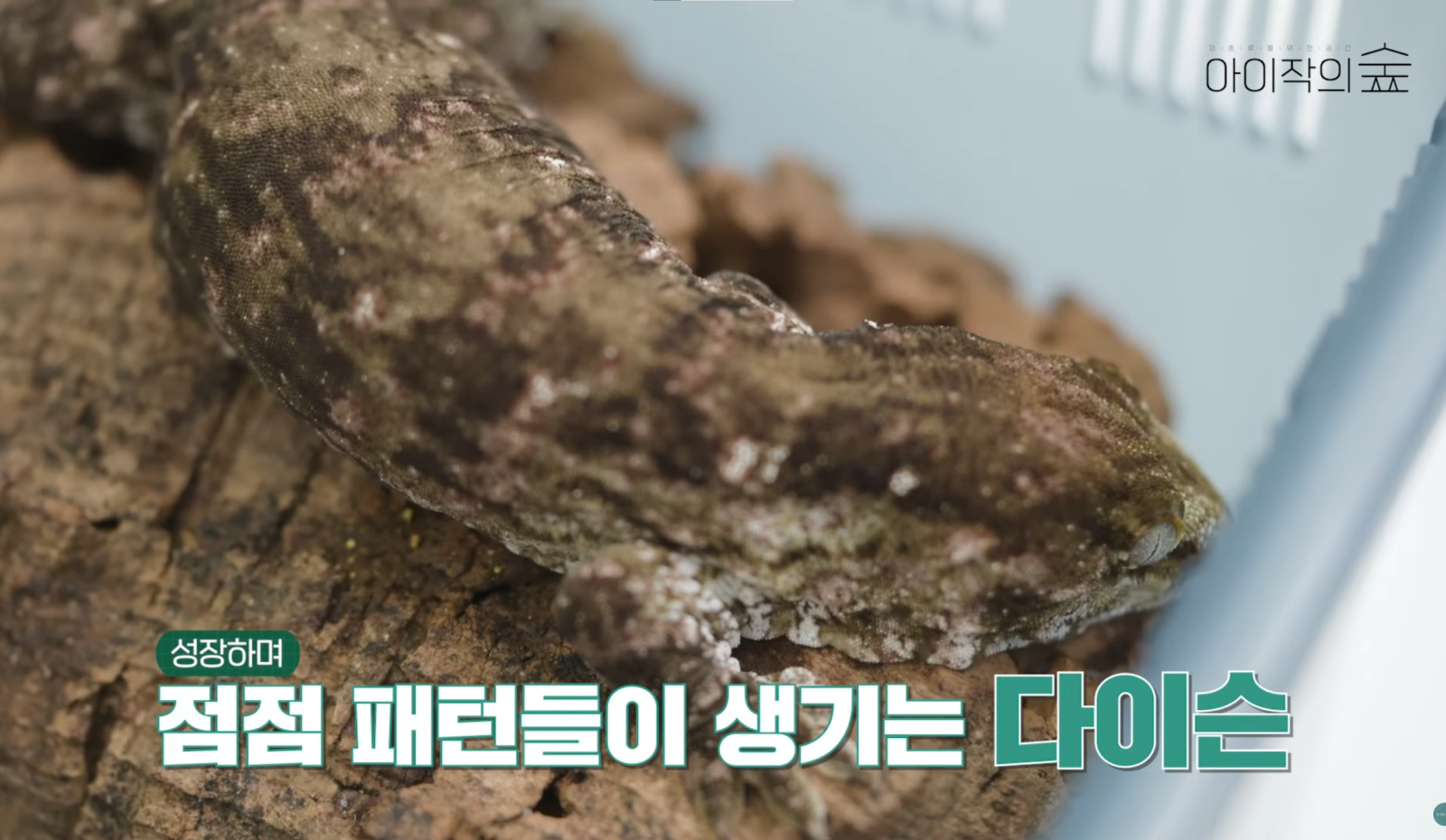홍보동영상