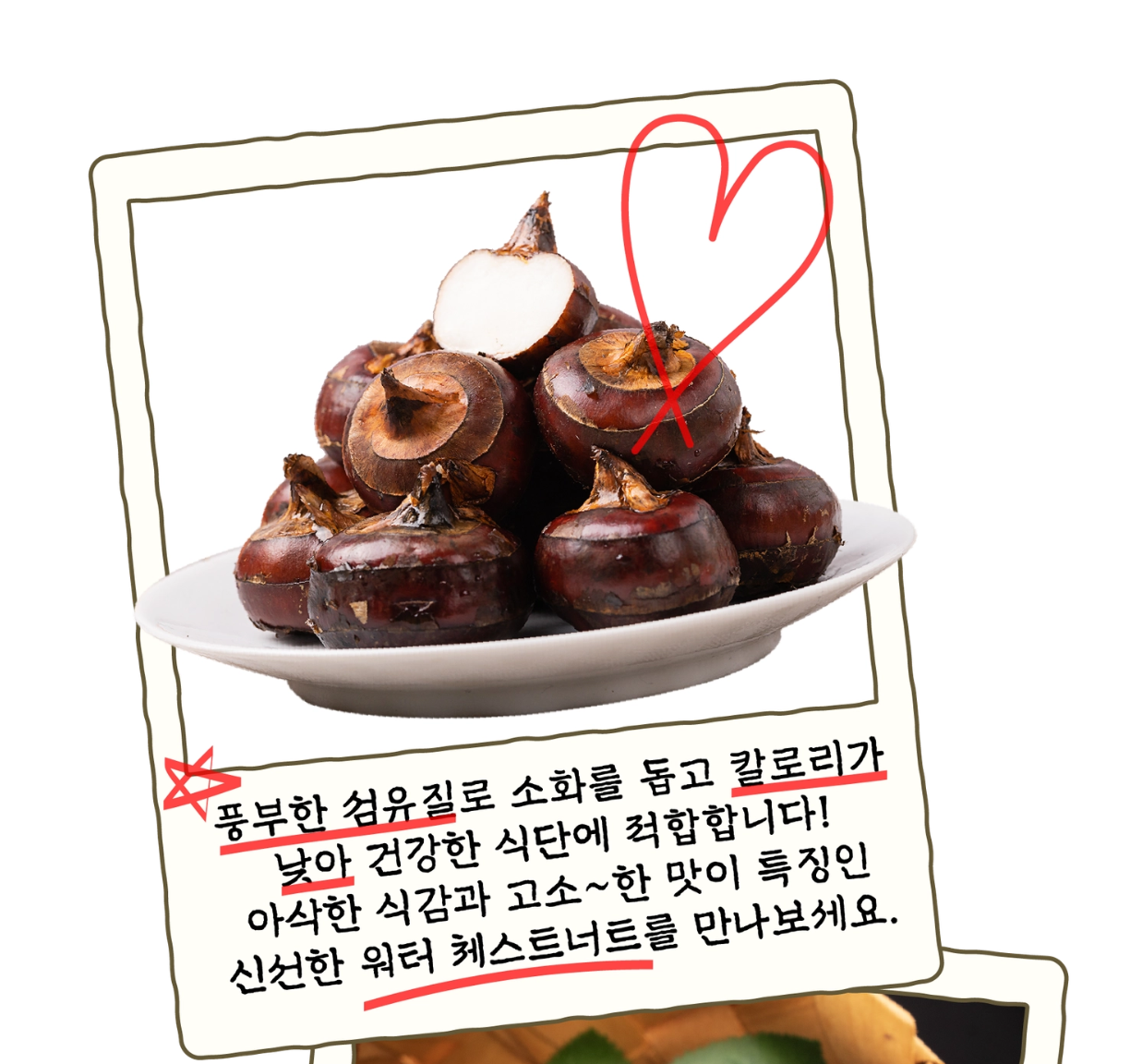 워터 체스트너트 2850g
