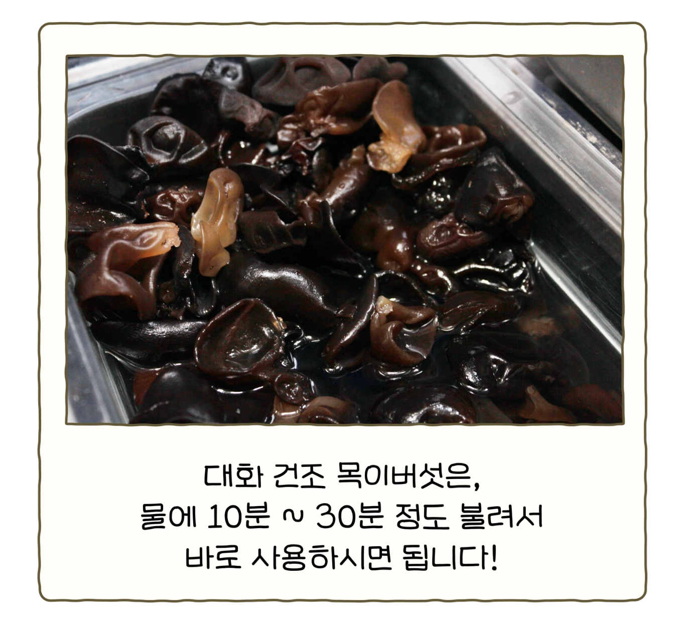 목이버섯 1kg