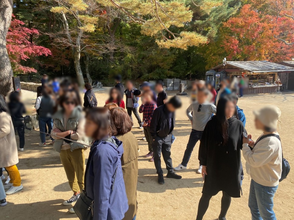 af9a7325605d7.png