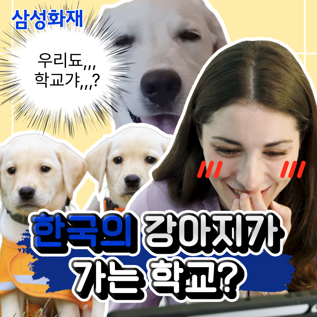 6726c1364143e.png