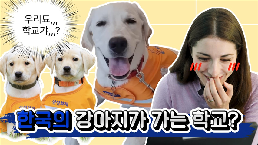 73042984b53dc.png