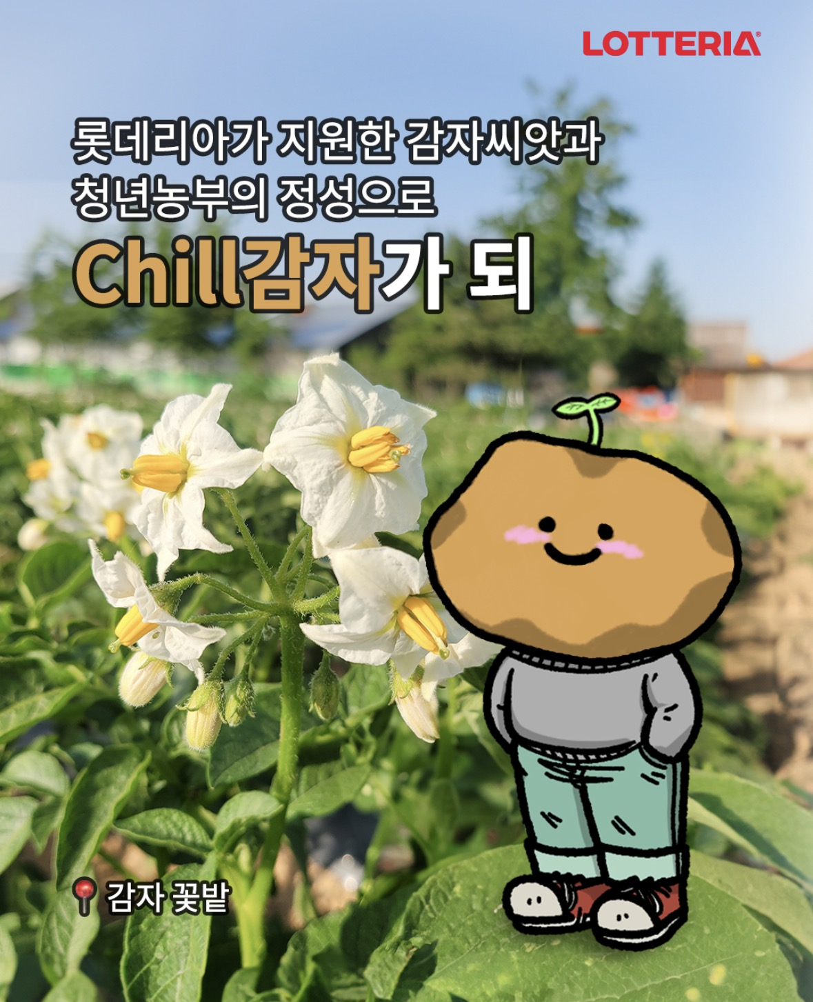 d853cf3a436c3.png
