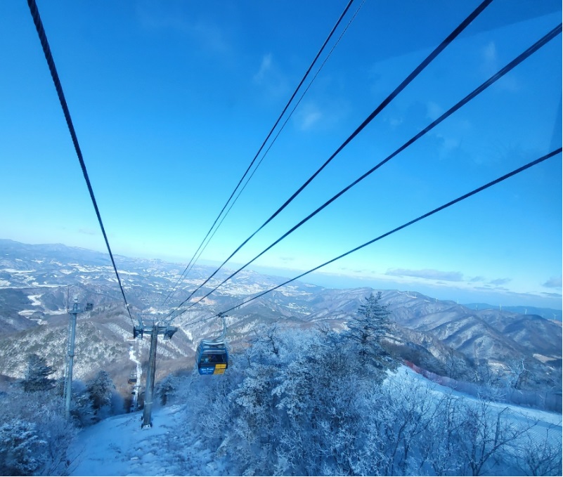 Yongpyong mtb online park