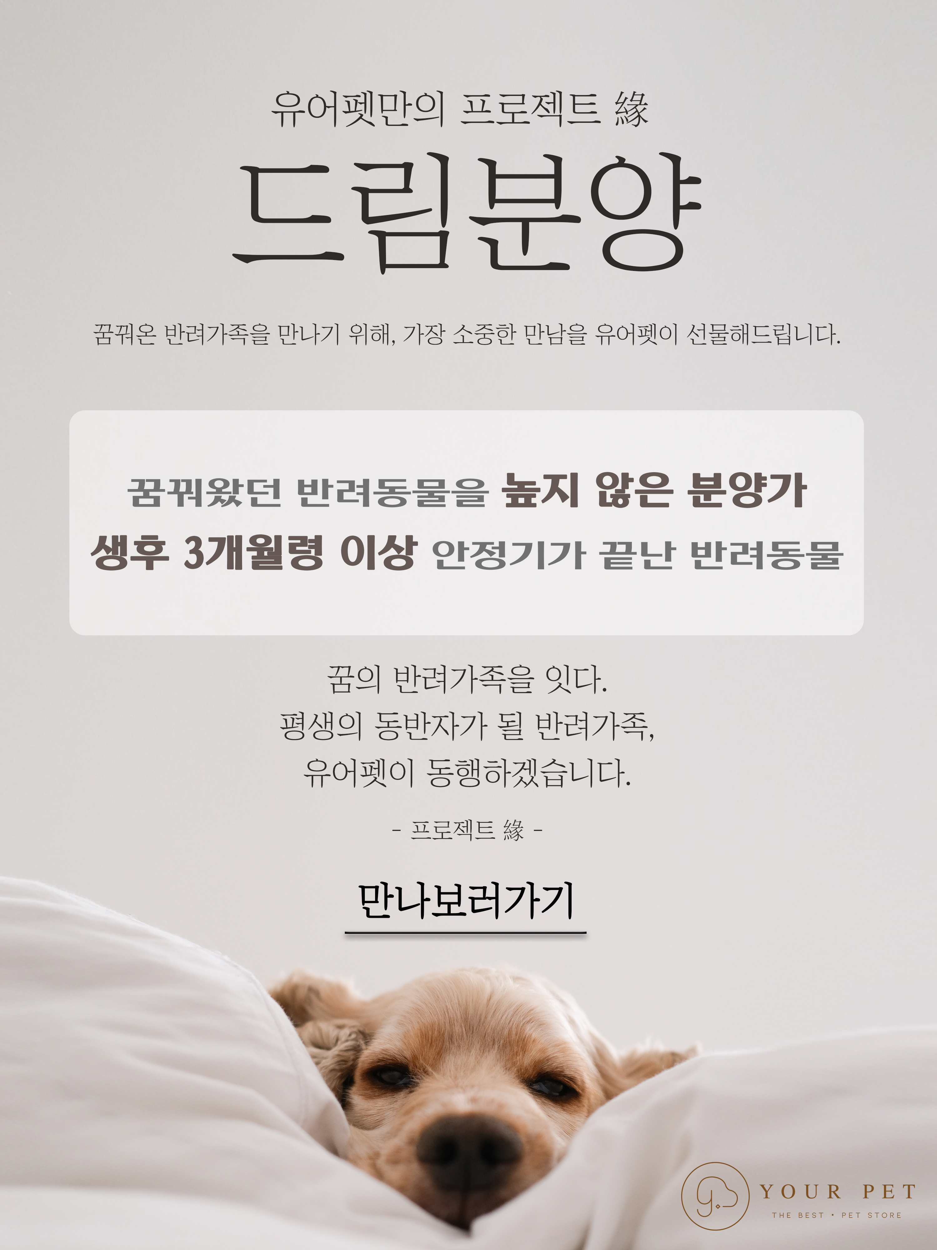 유어펫 공식사이트 - 강아지분양,고양이분양