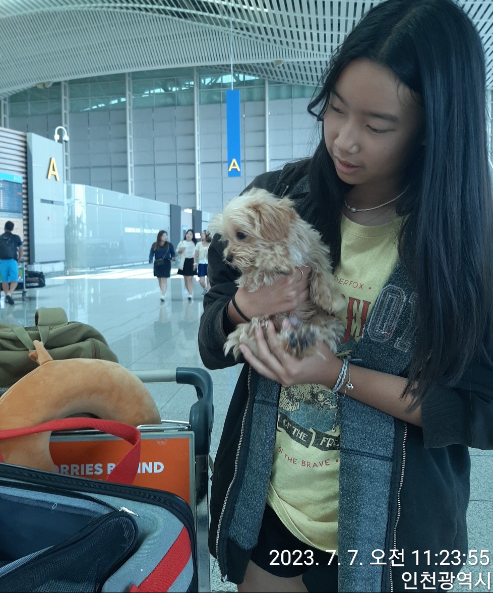 b17a85007a15d.jpg