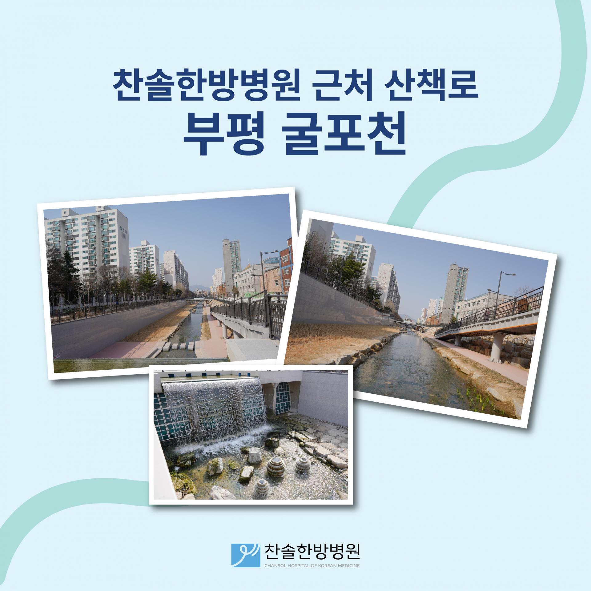 6eae50e9120b3.jpg