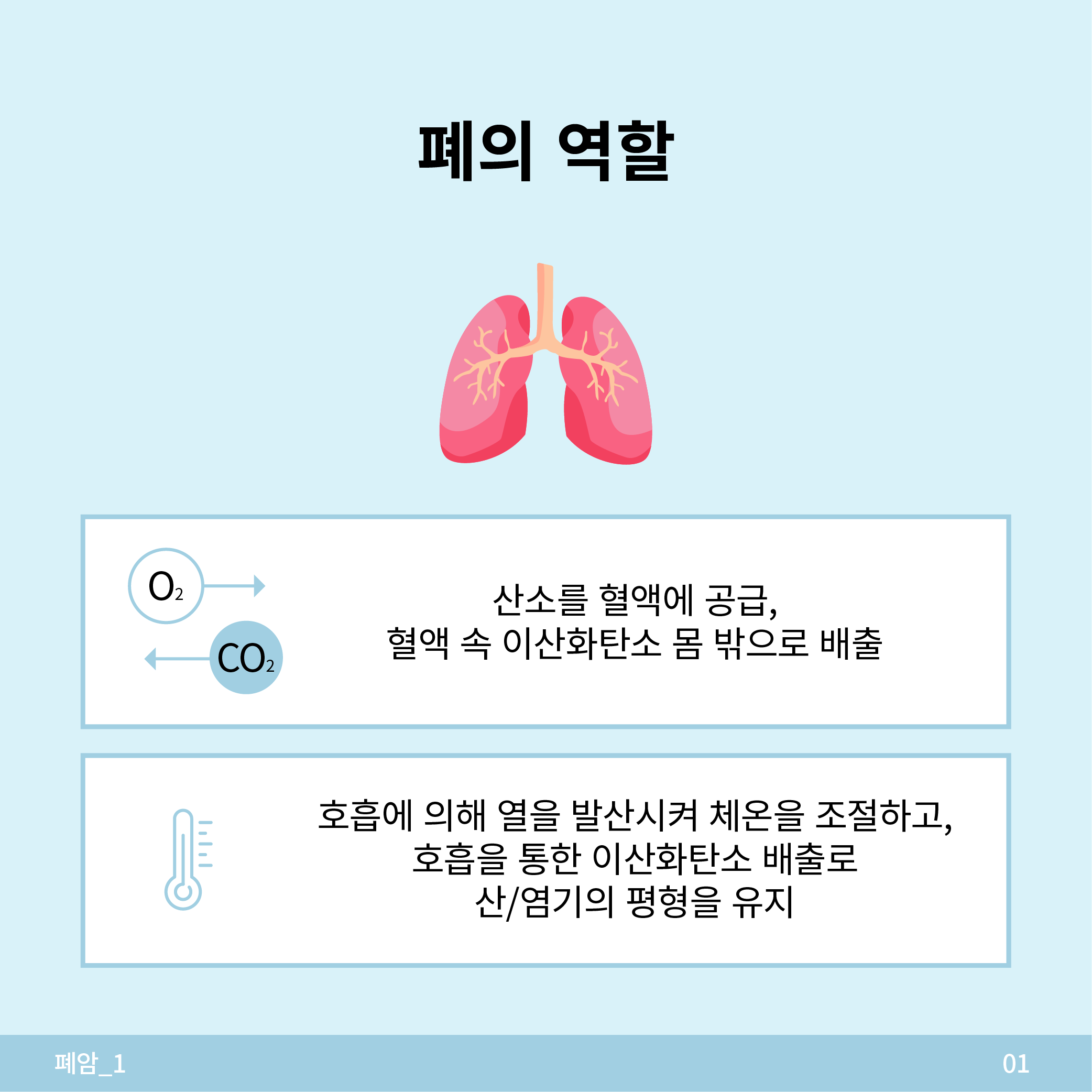 834fff299a7b5.png