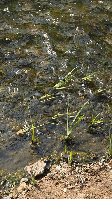 9ae02cb61709a.gif
