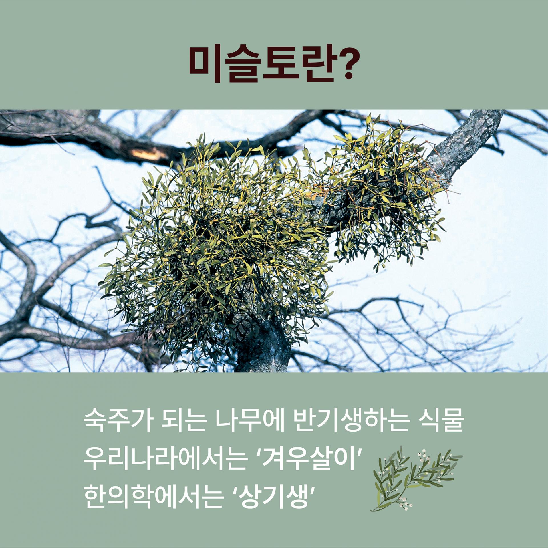 a4be83c05e54a.jpg