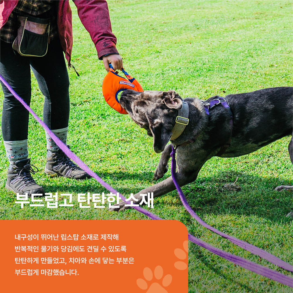 에어로 터그 독 프리스비