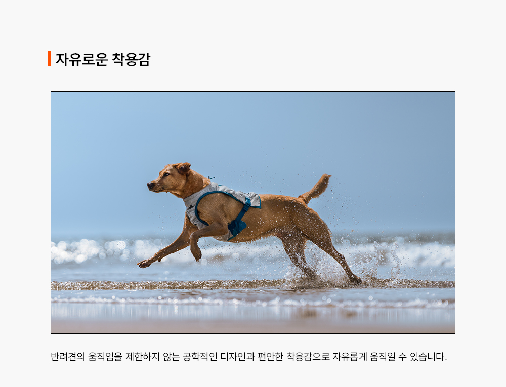 쿨링 베스트