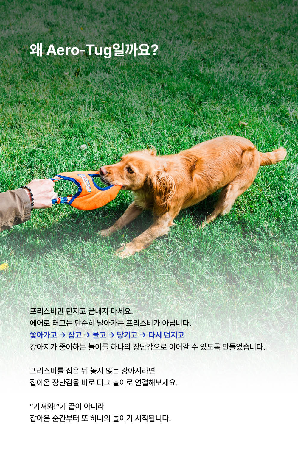 에어로 터그 독 프리스비
