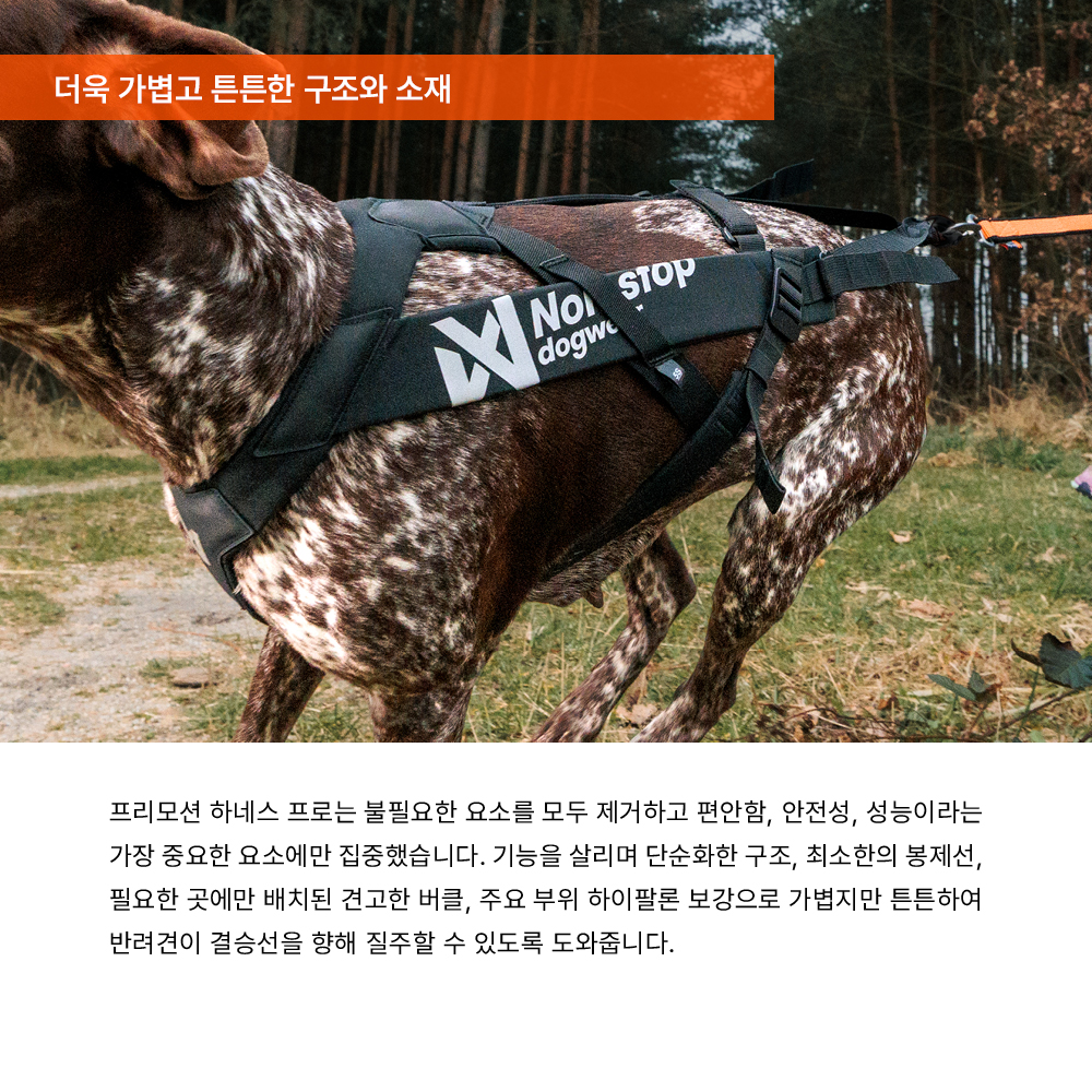 [예약주문] 프리모션 하네스 PRO