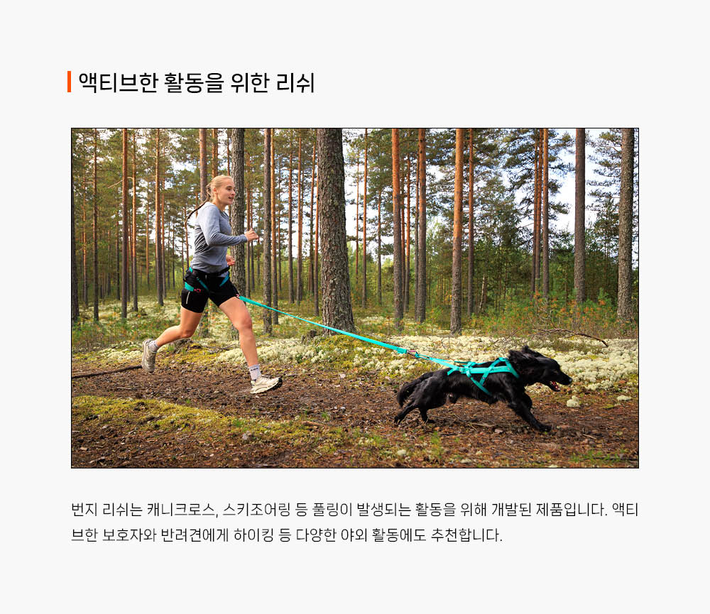 번지 리쉬