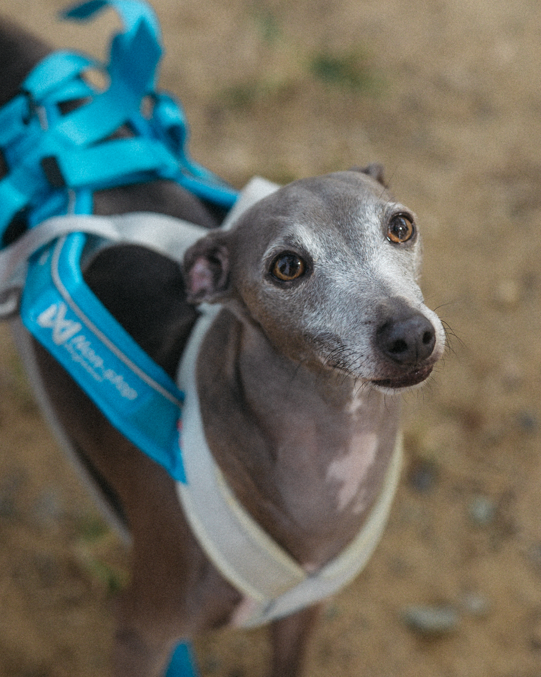 5c65f95a1daa6.png