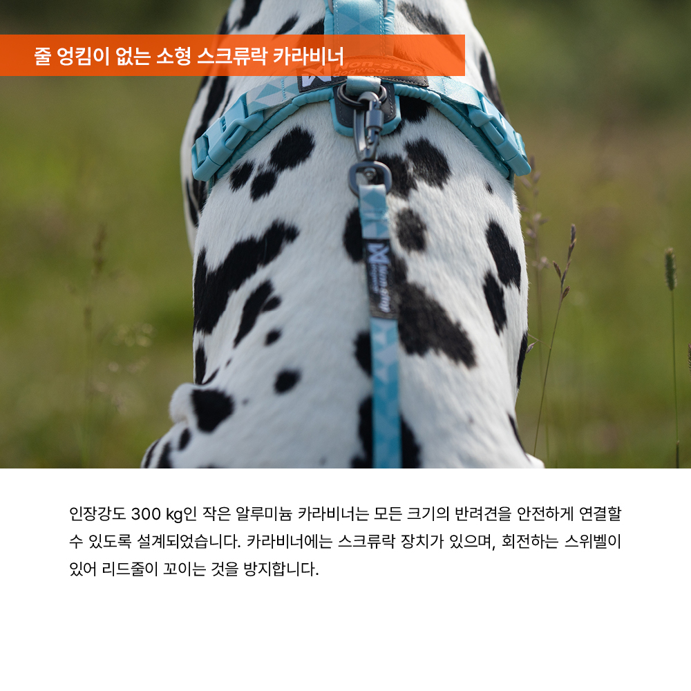 트레일 퀘스트 리쉬