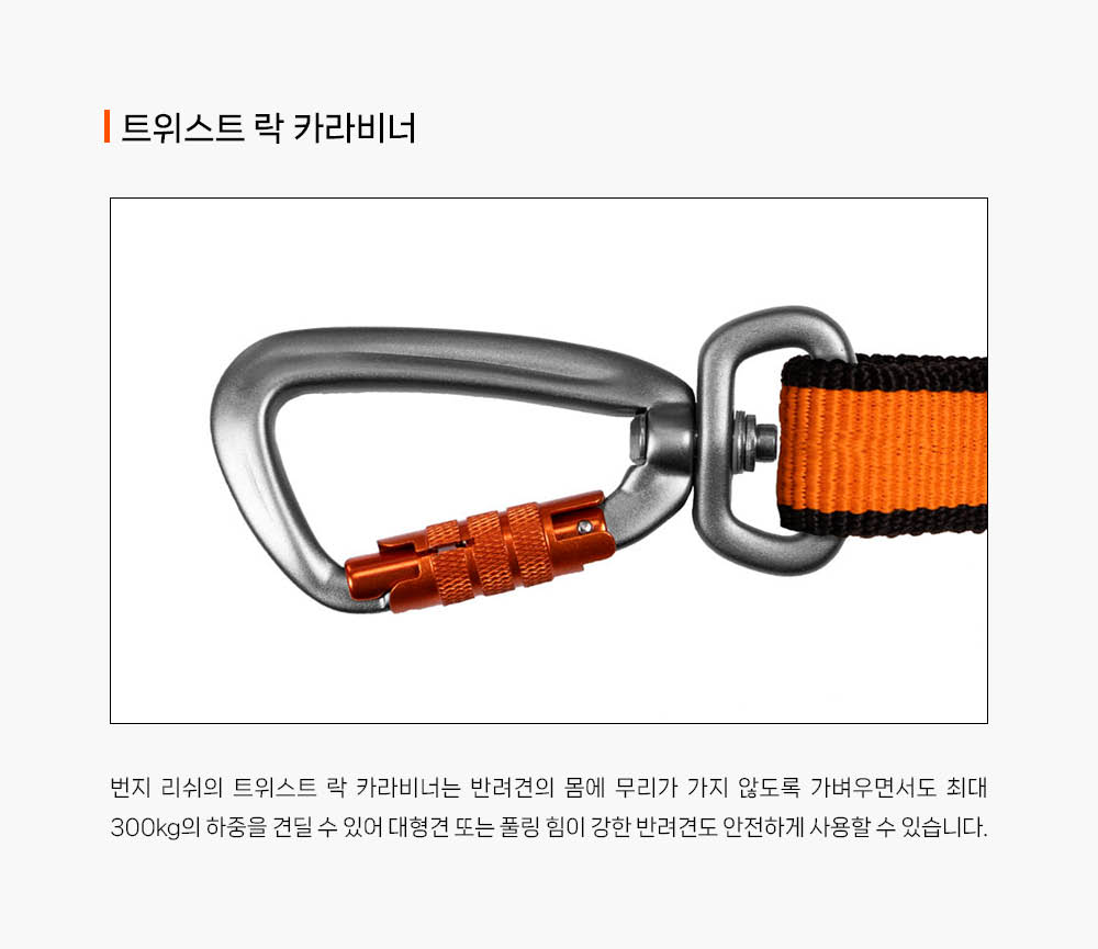 번지 리쉬