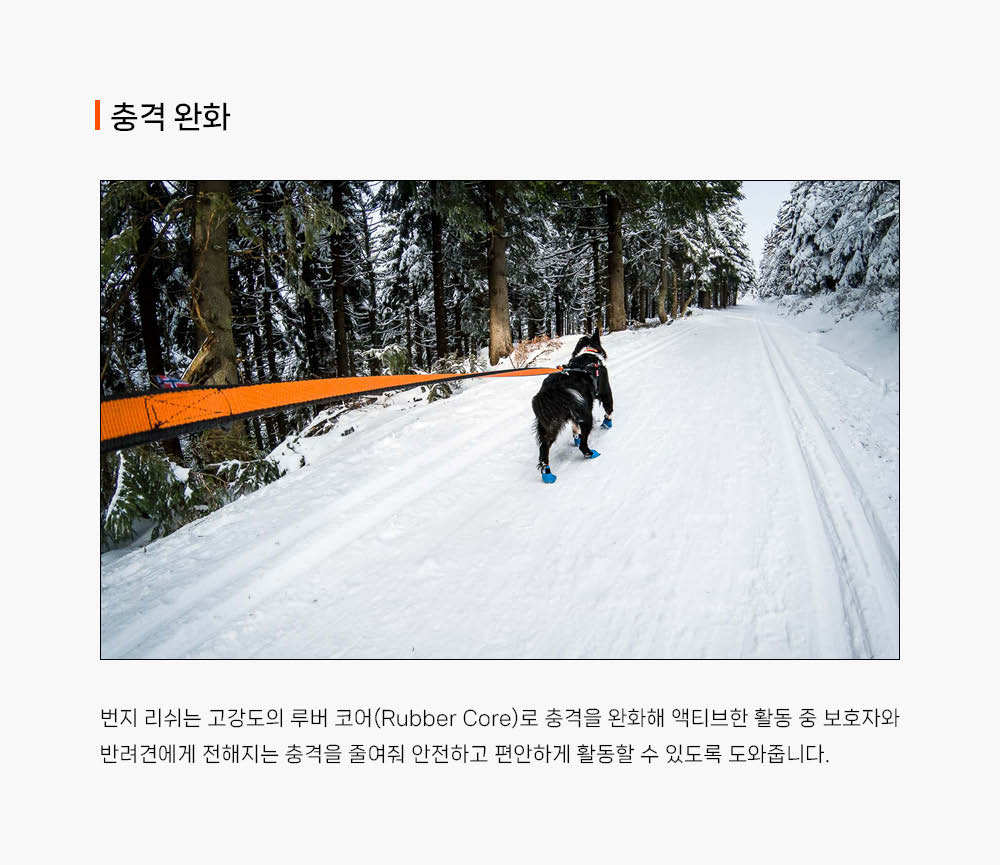 번지 리쉬