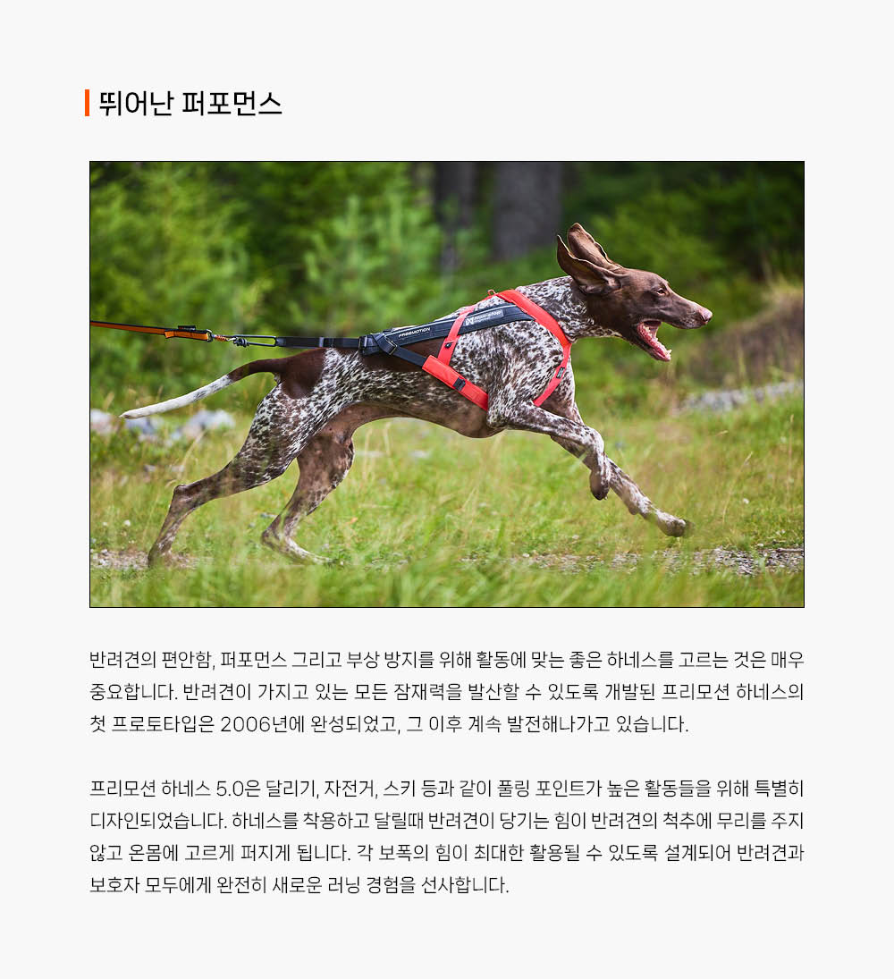프리모션 하네스 5.0