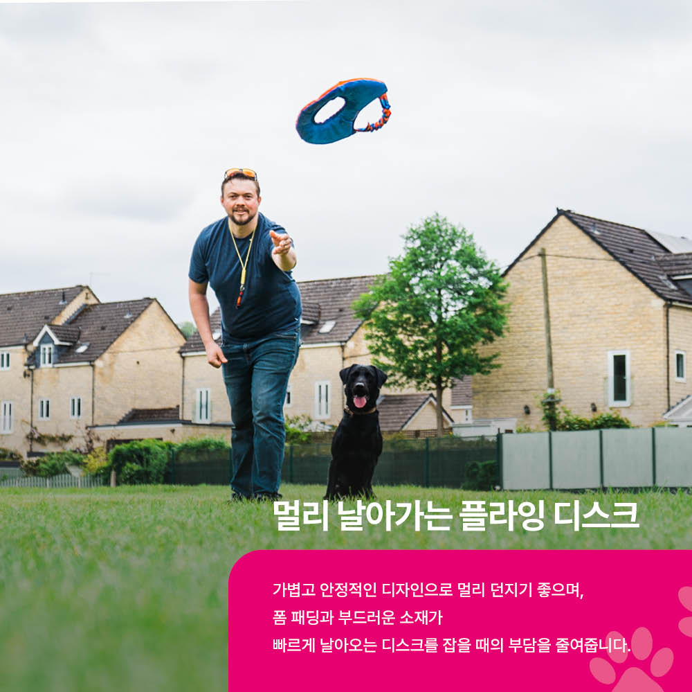 에어로 터그 독 프리스비