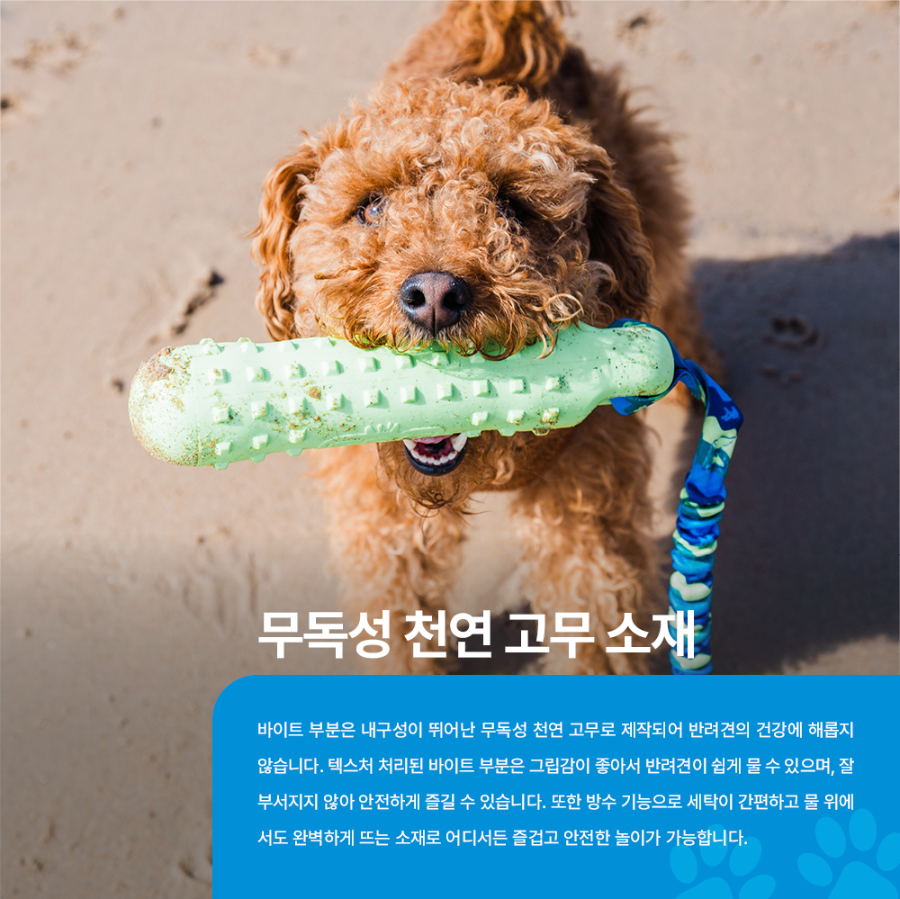 밥(BOB) 3in1 도그 더미