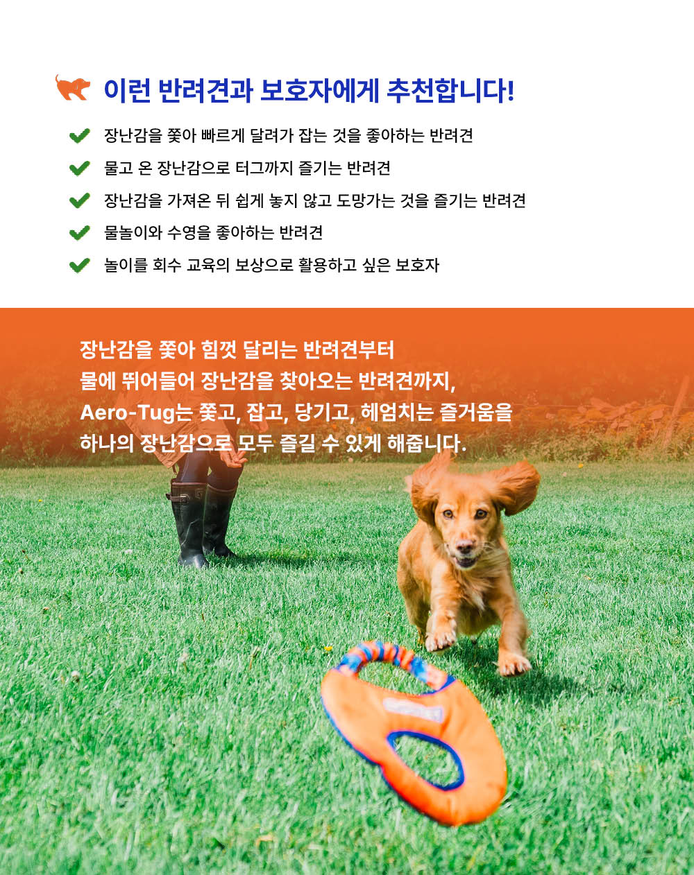 에어로 터그 독 프리스비