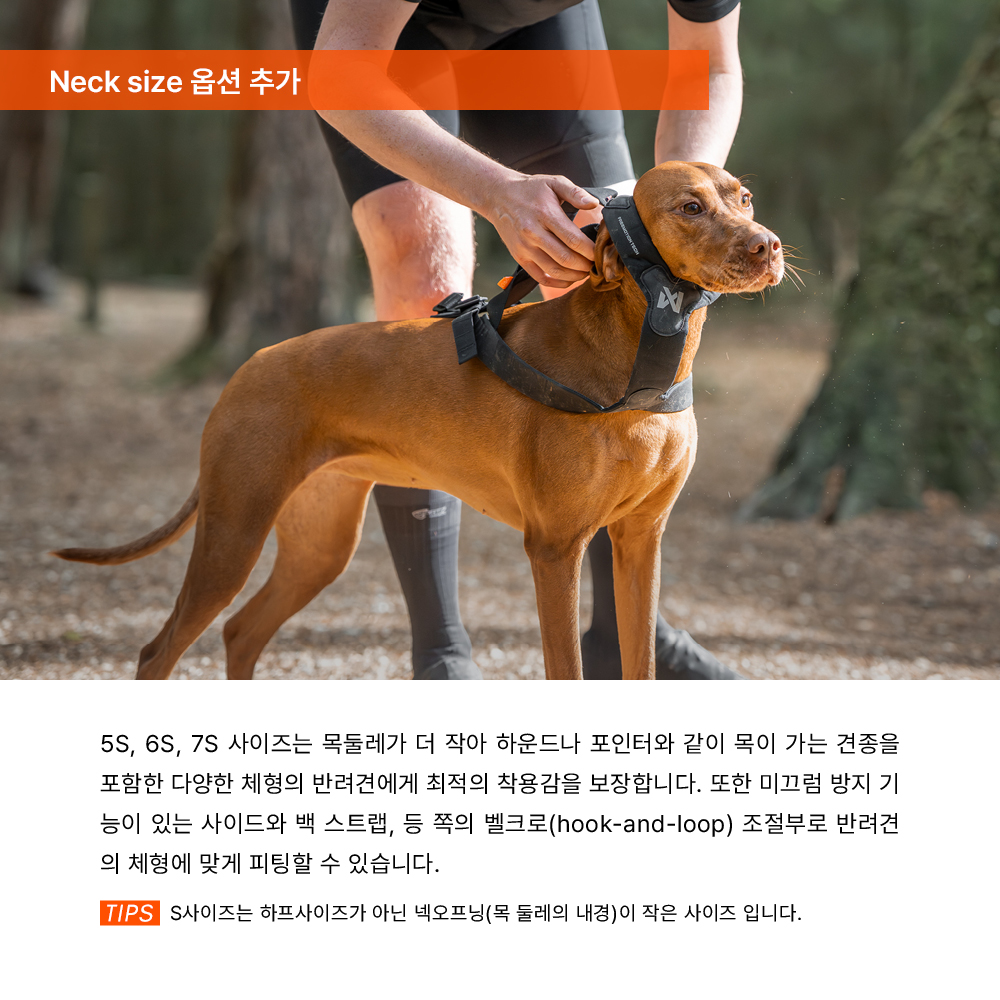 [예약주문] 프리모션 하네스 PRO