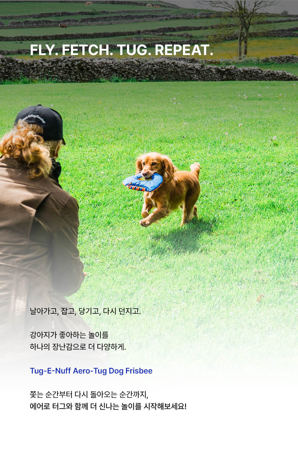 에어로 터그 독 프리스비