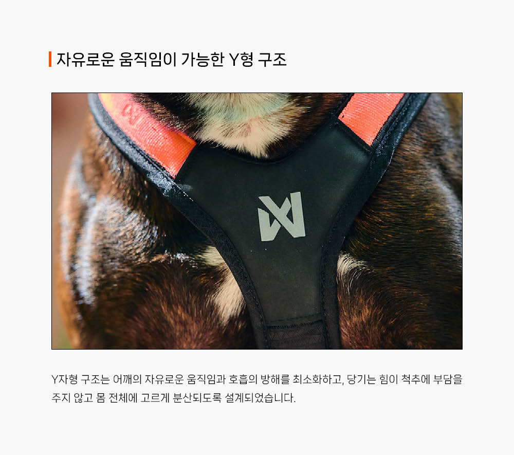 러쉬 하네스
